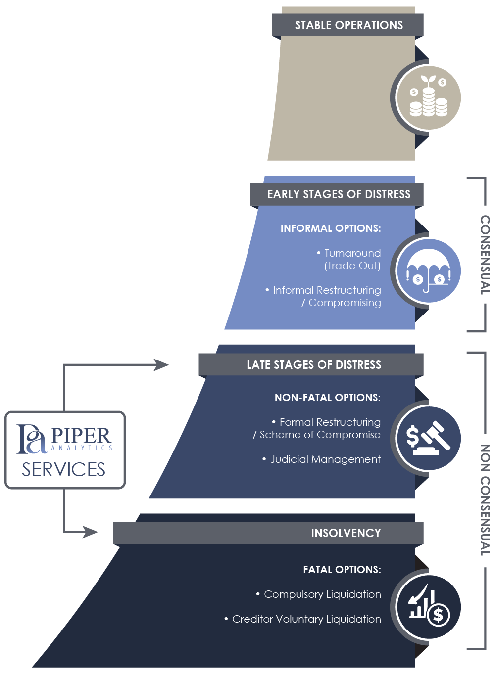 Info Graphic Piper Analytics